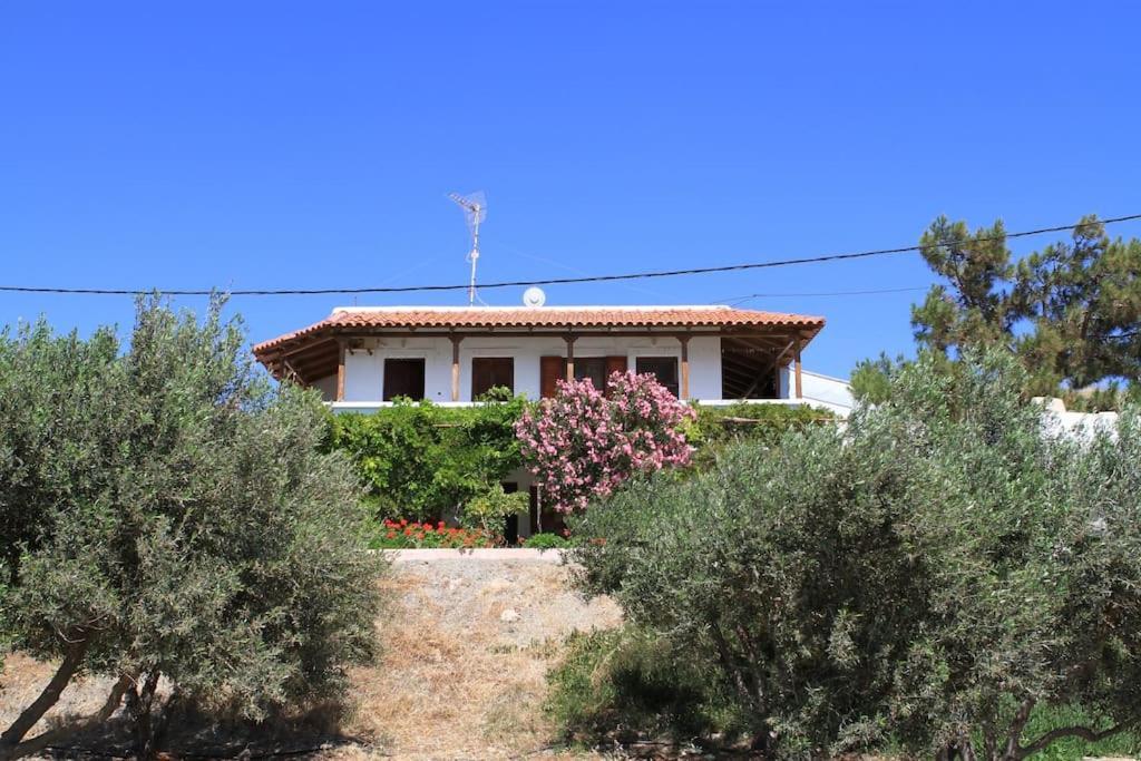 Traditional Olive House มากรีเยียลอส ภายนอก รูปภาพ
